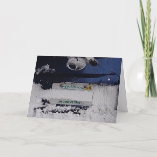 フロリダスノーバードクユーモアのあるリスマスカード シーズンカード (正面)