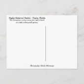 フロリダセマフォーカクタスナポリ植物園 ポストカード (裏面)