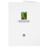 フロリダセミフォアカクタス ナープルズ植物園 (裏面)