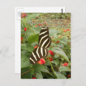 フロリダゼブラ蝶 ポストカード (正面/裏面)