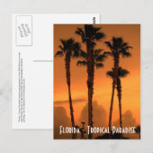 フロリダトロピカルパラダイスサンセットポストカード写真 ポストカード (正面/裏面)