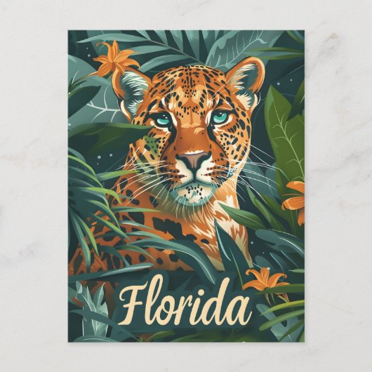 フロリダパンサーヴィンテージ ポストカード (正面)