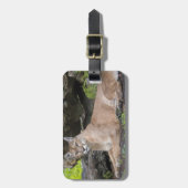 フロリダパンサー荷物タグ ラゲッジタグ (正面縦)