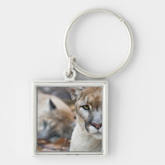 フロリダパンサー キーホルダー (正面)