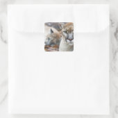 フロリダパンサー スクエアシール (バッグ)