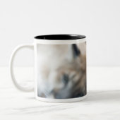 フロリダパンサー ツートーンマグカップ (左)