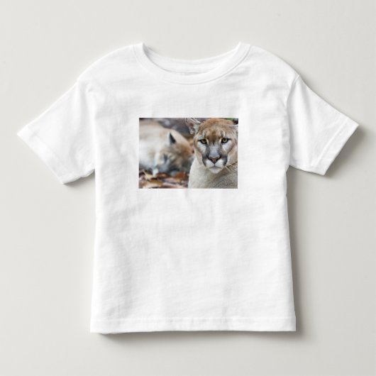 フロリダパンサー トドラーTシャツ (正面)