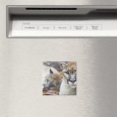 フロリダパンサー マグネット (インサイチュ (食洗機))