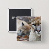 フロリダパンサー 缶バッジ (正面&裏面)