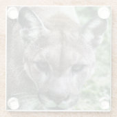 フロリダパンサー – 飲み物用コースター ガラスコースター (裏面)