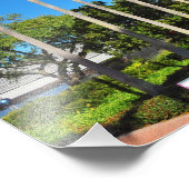 フロリダパームツリーズ フォトプリント            (角)