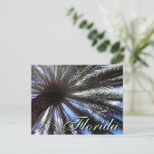 フロリダパーム ポストカード (スタンド正面)