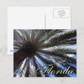 フロリダパーム ポストカード (正面/裏面)