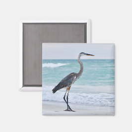 フロリダビーチの鳥 マグネット