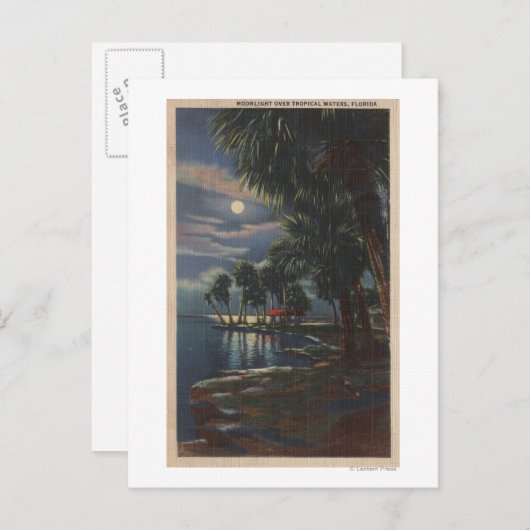 フロリダビーチフロリダの月光 ポストカード (正面/裏面)