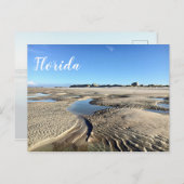フロリダビーチ低潮新しいSmyrna写真 ポストカード (正面/裏面)