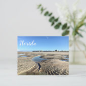 フロリダビーチ低潮新しいSmyrna写真 ポストカード (スタンド正面)