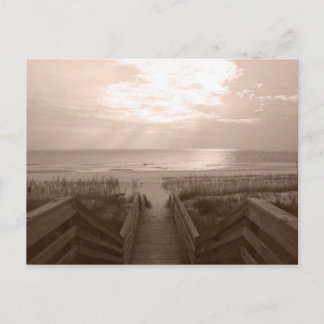 フロリダビーチ ポストカード