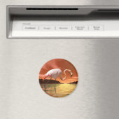 フロリダピンクフラミンゴ磁石 マグネット (インサイチュ (食洗機))