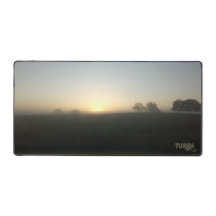 フロリダファームモーニングサンライズナチュラル写真