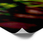 フロリダフラミンゴ1 ポスター (角)