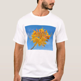 フロリダフレームアザレア柄メンズTシャツ(M) Tシャツ
