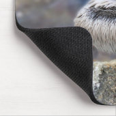 フロリダブラウンペリカンJetty Rockに立つ マウスパッド (コーナー)