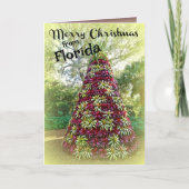 フロリダブロムリアドツリーからのメリークリスマス シーズンカード (正面)