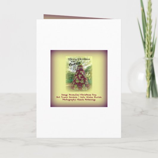 フロリダブロムリアドツリーからのメリークリスマス シーズンカード (裏面)
