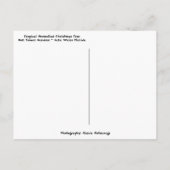 フロリダブロムリアドツリーからのメリークリスマス ポストカード (裏面)