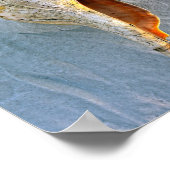 フロリダホースコンチ ポスター (角)