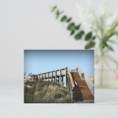 フロリダボードウォーク、ケープサンブラス湾岸 ポストカード (スタンド正面)