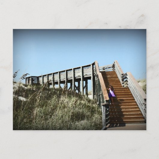 フロリダボードウォーク、ケープサンブラス湾岸 ポストカード (正面)