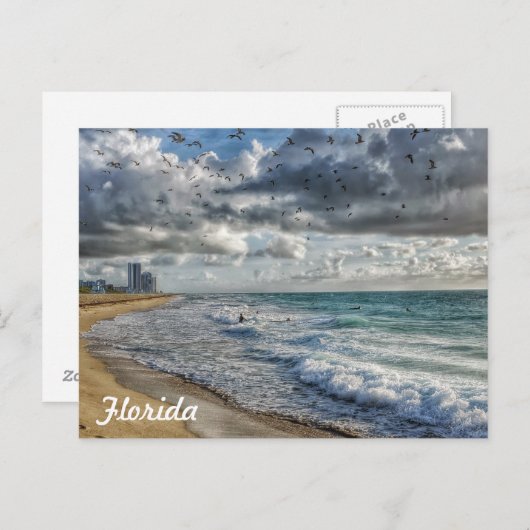 フロリダポストカードサウスフロリダ海岸線 ポストカード (正面/裏面)
