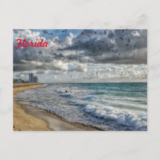 フロリダポストカードサウスフロリダ海岸線 ポストカード