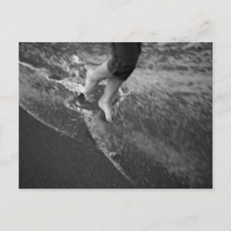 フロリダポストカード ポストカード