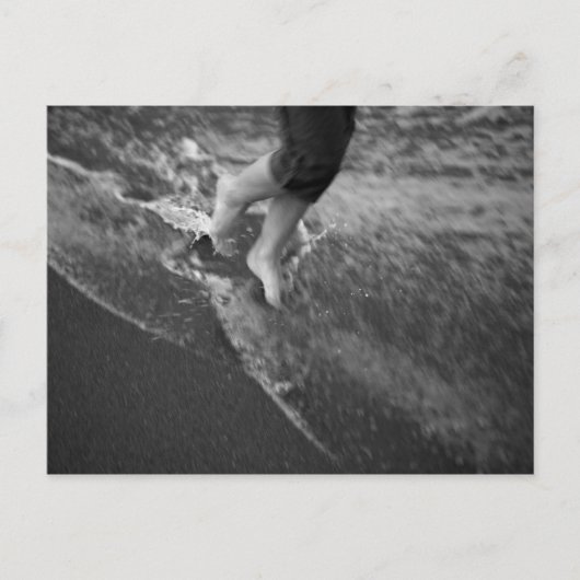 フロリダポストカード ポストカード (正面)