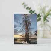 フロリダポストカード ポストカード (スタンド正面)