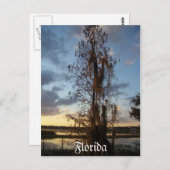 フロリダポストカード ポストカード (正面/裏面)