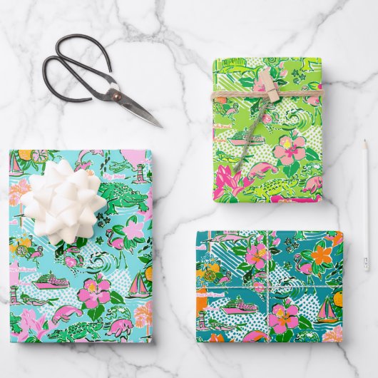 フロリダマップ名門私立校風のパームビーチパターンプリント ラッピングペーパーシート (正面)