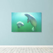 フロリダマナテースのペアが泳いでいる キャンバスプリント (インサイチュ (ウッドフロア))