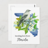 フロリダモッキンバードオレンジから愛を送る ポストカード (正面/裏面)