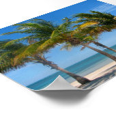 フロリダヤシの木のプリント ポスター (角)