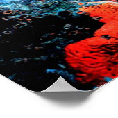 フロリダリーフ ポスター (角)