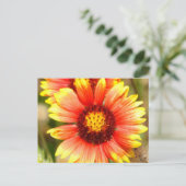 フロリダワイルドフラワーポストカード ポストカード (スタンド正面)