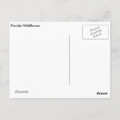 フロリダワイルドフラワーポストカード ポストカード (裏面)