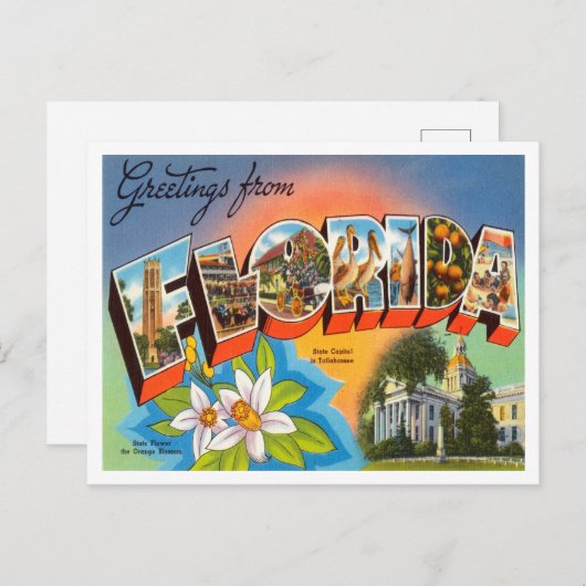 フロリダヴィンテージ旅行からの挨拶 ポストカード (正面/裏面)