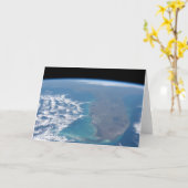 フロリダ半島の北。 カード (黄色い花)