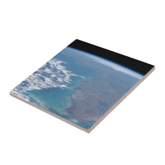 フロリダ半島の北。 タイル (側面)