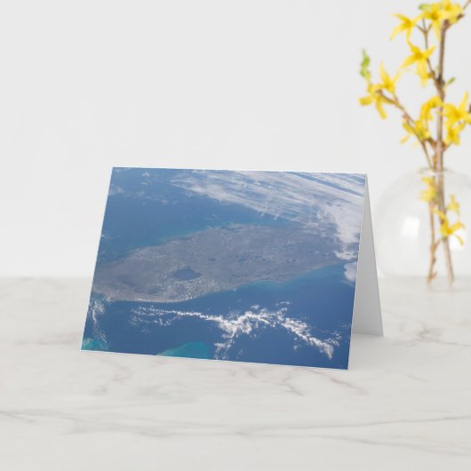 フロリダ半島。 カード (黄色い花)